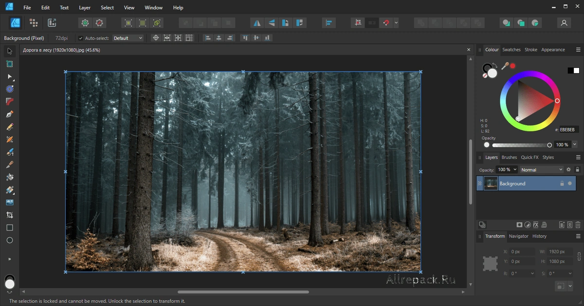 Serif Affinity Designer — изображение 1